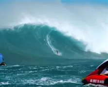 九游娱乐-冲浪淘汰赛上演强强对话，关东犀牛队强势横扫皖南飞鹰队，多点开花奏效；重拾自信的夜晚的简单介绍